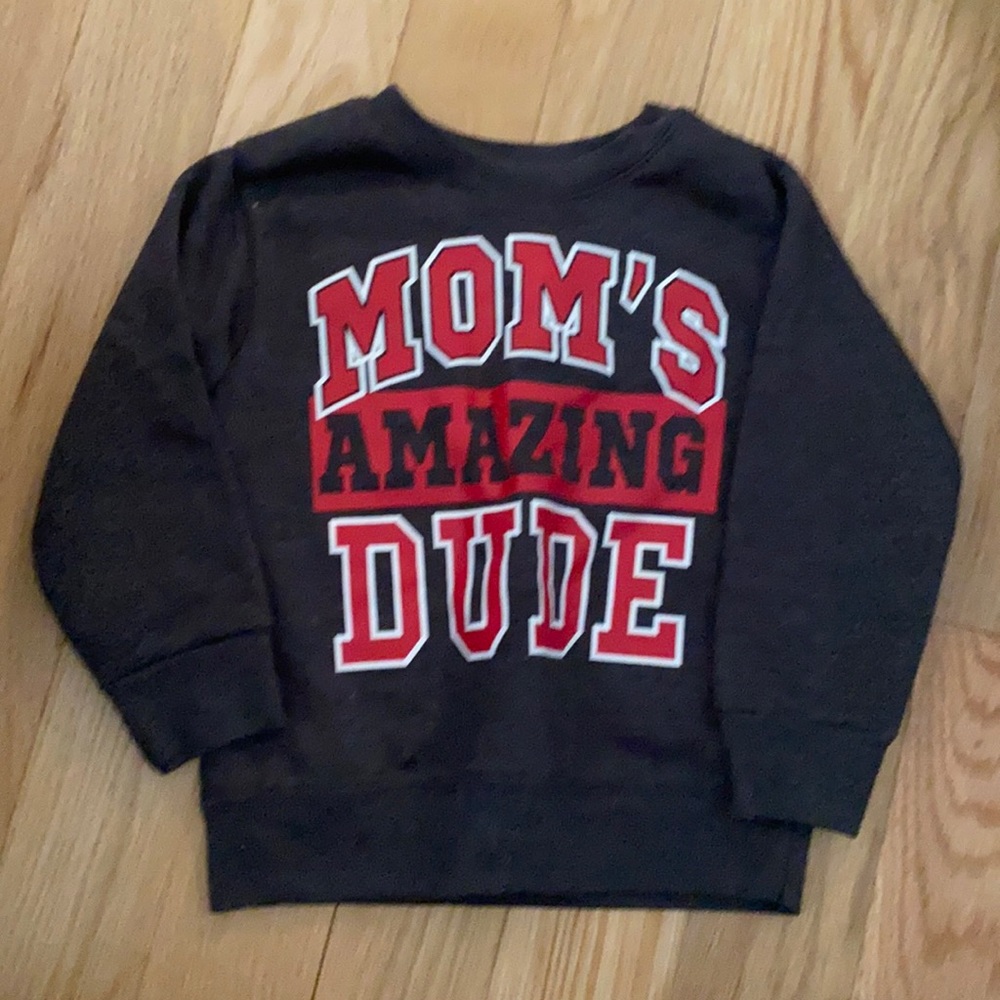 Boys 2T sweatshirt. BNWOT